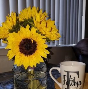 Meet your Posher, Fatima